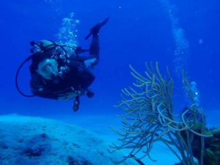 Explorando el fondo marino